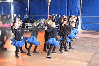 IMG_7685.jpg